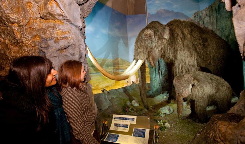 National Museum Cardiff