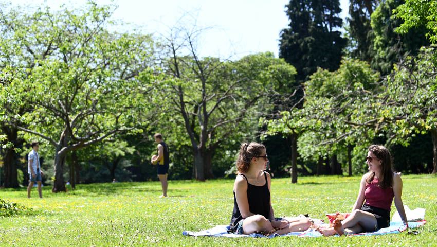 Bute Park and Arboretum - Park in Cardiff, Cardiff - Show Me Wales