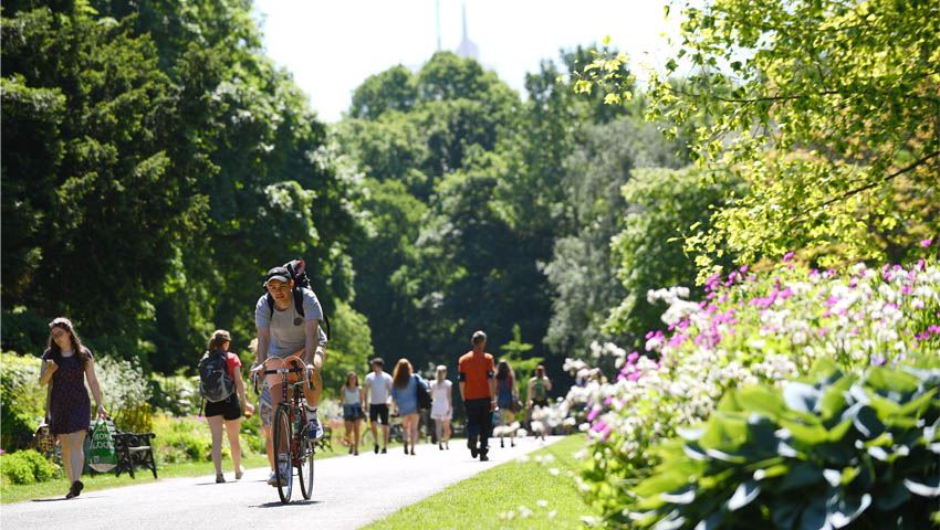 What's On in Cardiff during the Summer Holidays? • News & Blogs • Visit Cardiff