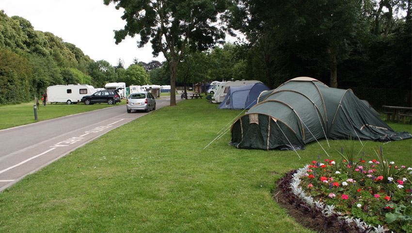 Cardiff Caravan Park