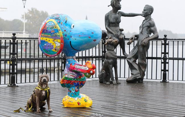 Cardiff Snoopy Trail Postponed
