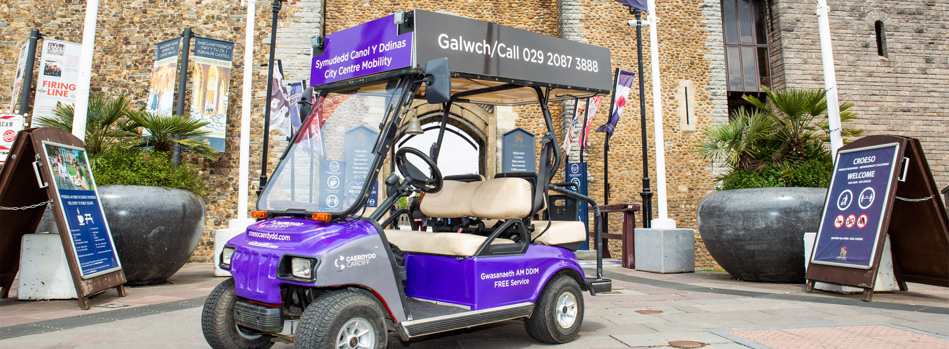 Cardiff Mobility Buggy