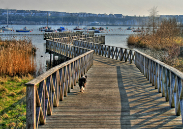 Wetland Reserve