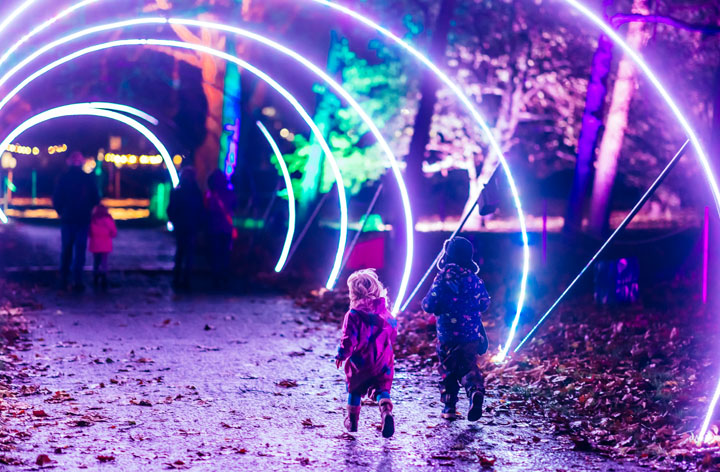 Christmas at Bute Park 2022