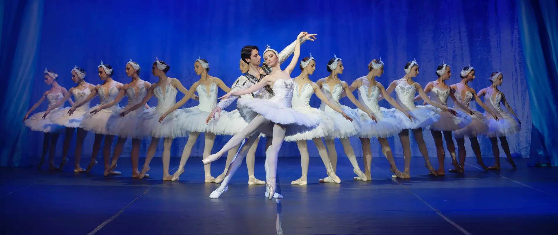 Christmas Shows in Cardiff