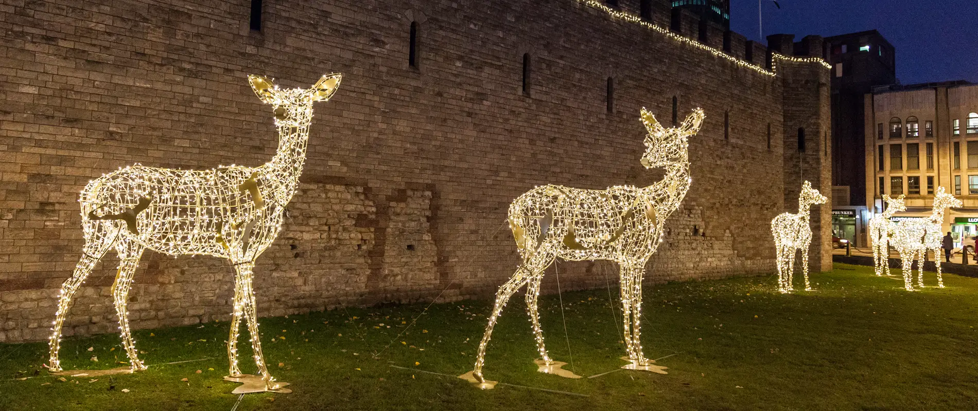 visit santa near cardiff