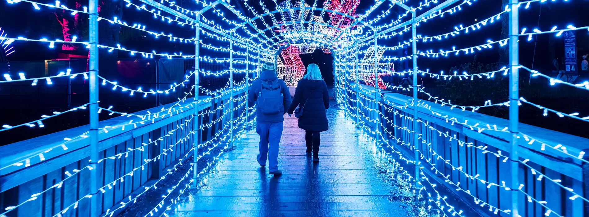 Where can you see Cardiff's Christmas lights this year?